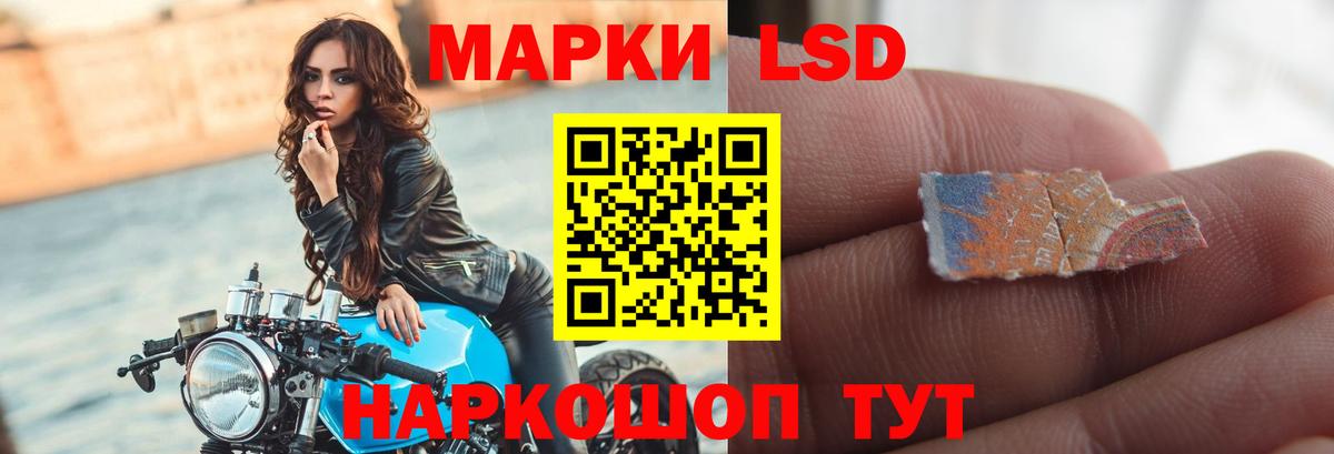 LSD-25 экстази  Лсд 25 экстази кислота  Вход с VPN  Муравленко 